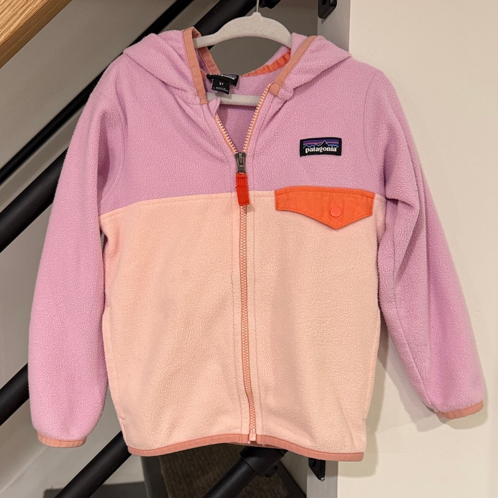Patagonia Micro D Snap T Fleece